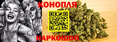 гидропоника Ирбит