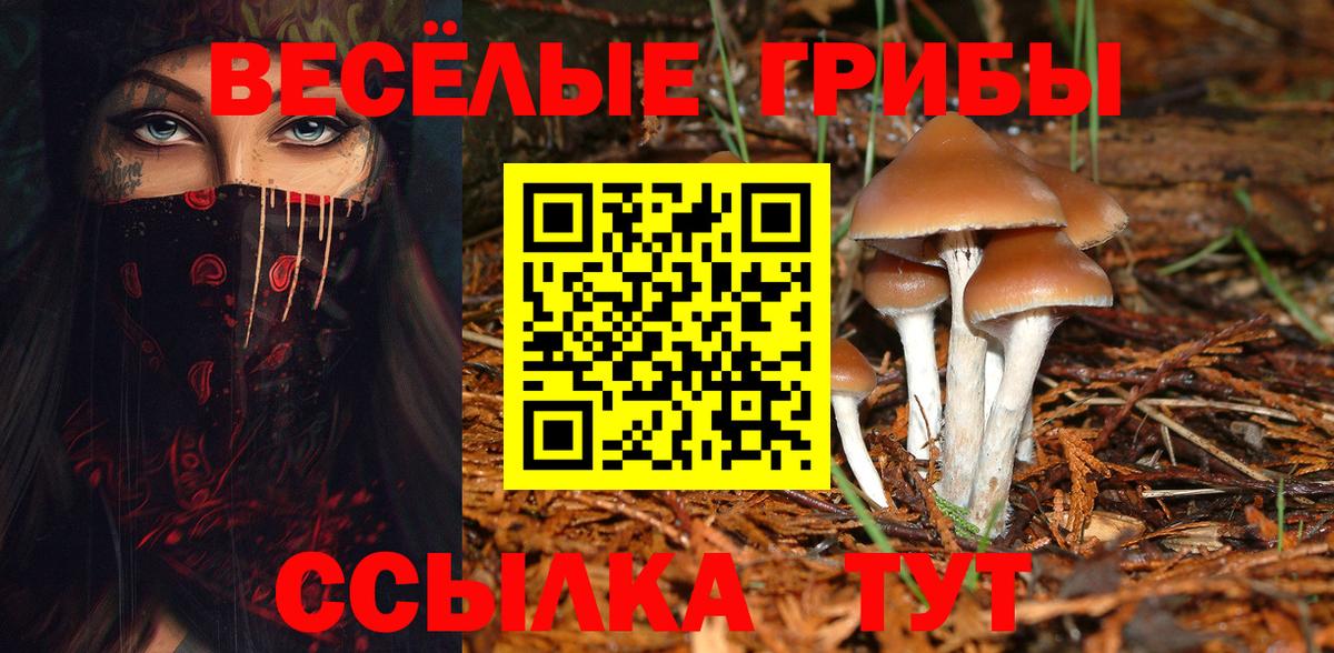 Галлюциногенные грибы мухоморы  Вход с VPN  где продают   Краснознаменск  Псилоцибиновые грибы мухоморы 